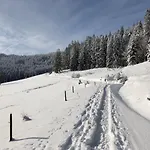 Naturparkhotel Schwarzwaldhaus Pensión Bernau im Schwarzwald