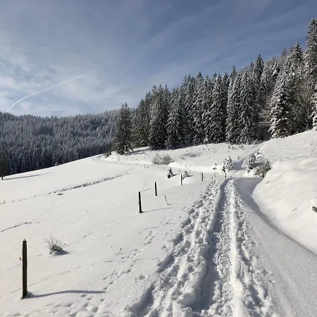 Naturparkhotel Schwarzwaldhaus ゲストハウス ベルナウ・イム・シュヴァルツヴァルト
