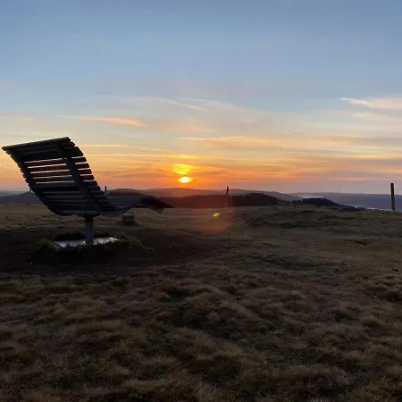 Naturparkhotel Schwarzwaldhaus ゲストハウス ベルナウ・イム・シュヴァルツヴァルト