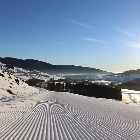 Naturparkhotel Schwarzwaldhaus Penzion 3*