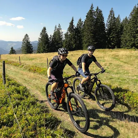 Penzion Naturparkhotel Schwarzwaldhaus Bernau im Schwarzwald