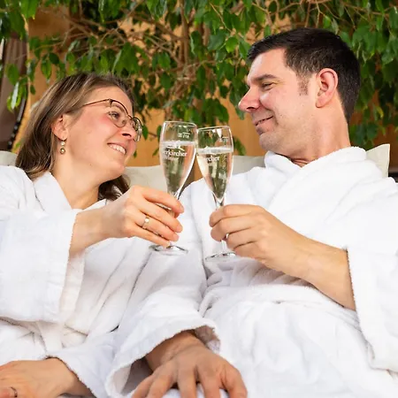 Penzion Naturparkhotel Schwarzwaldhaus 3*